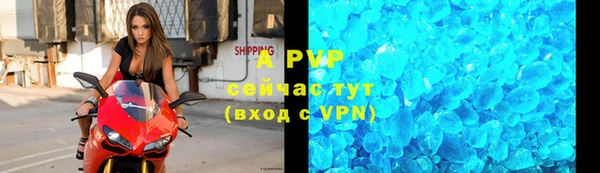 ешки Белокуриха