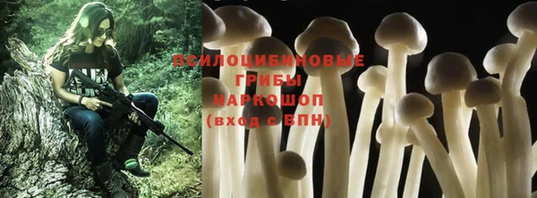 ешки Белоозёрский