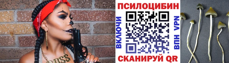Галлюциногенные грибы Psilocybine cubensis Будённовск